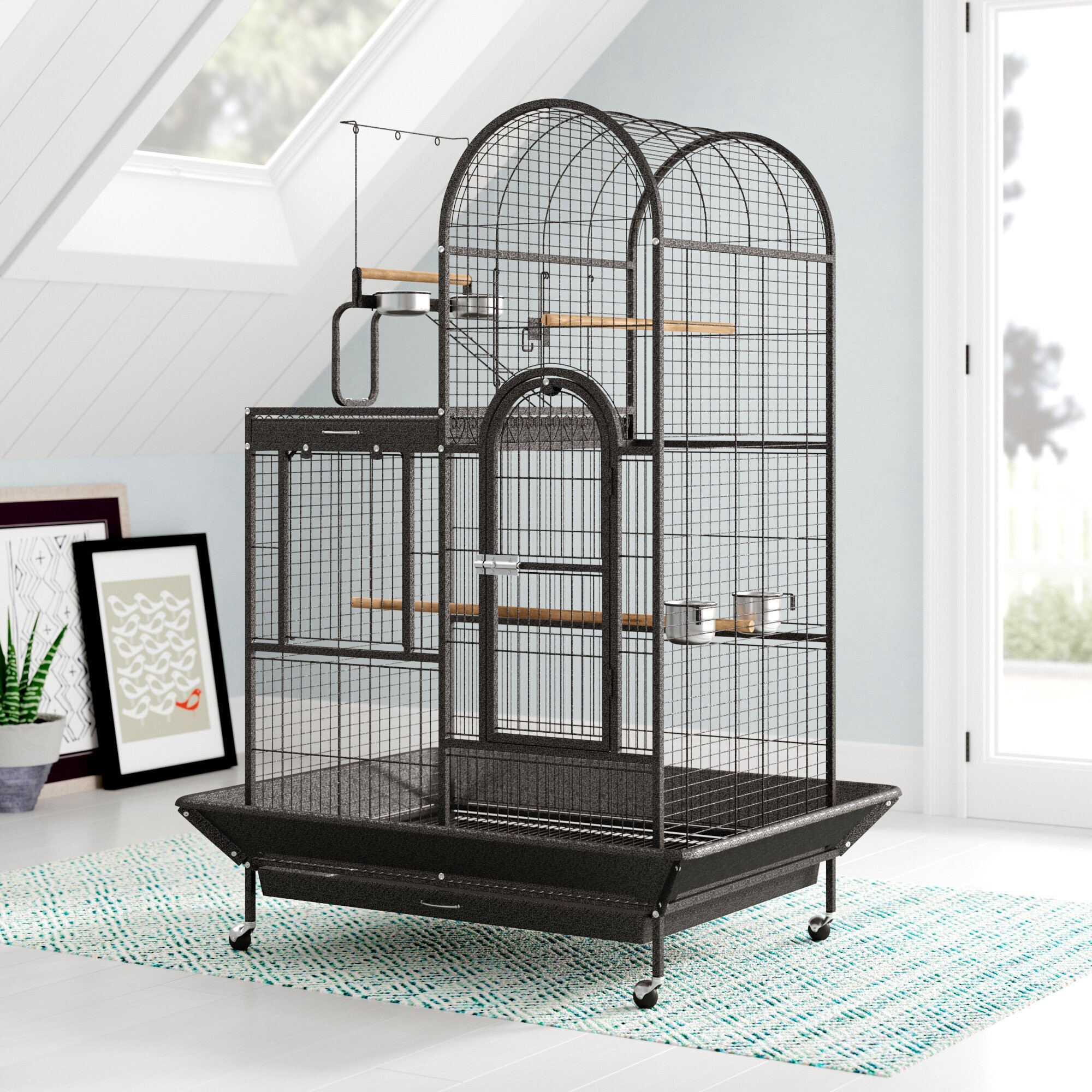 How to Choose a Bird Cage