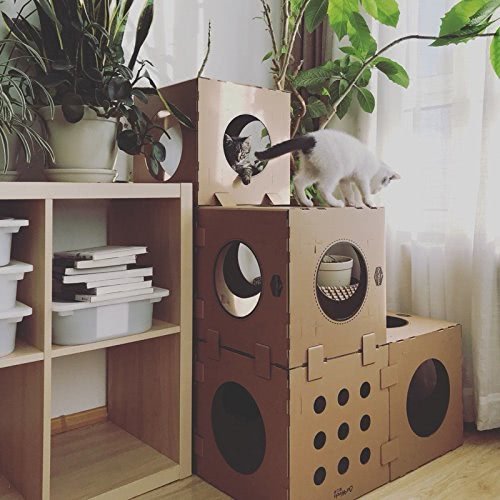 Modular Cardboard Cat Condo with Tunnels