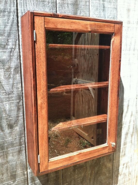 Solid Wood Wall Mounted Curio Cabinet