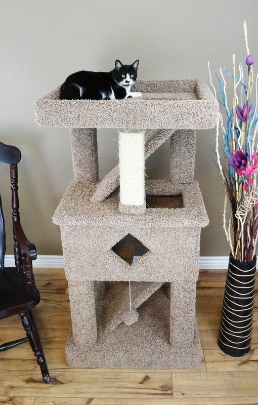 Wood Cat Play Gym With Sisal Rope