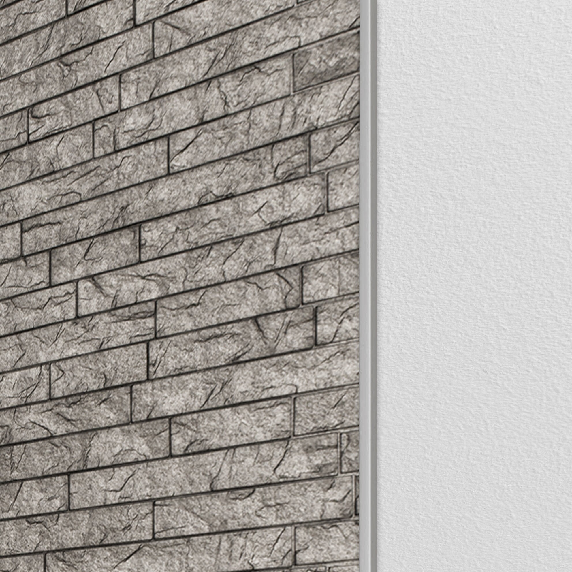 48" x 0.1" Matte Metal Edge Trim Tile Trim in Silver (Set of 2)