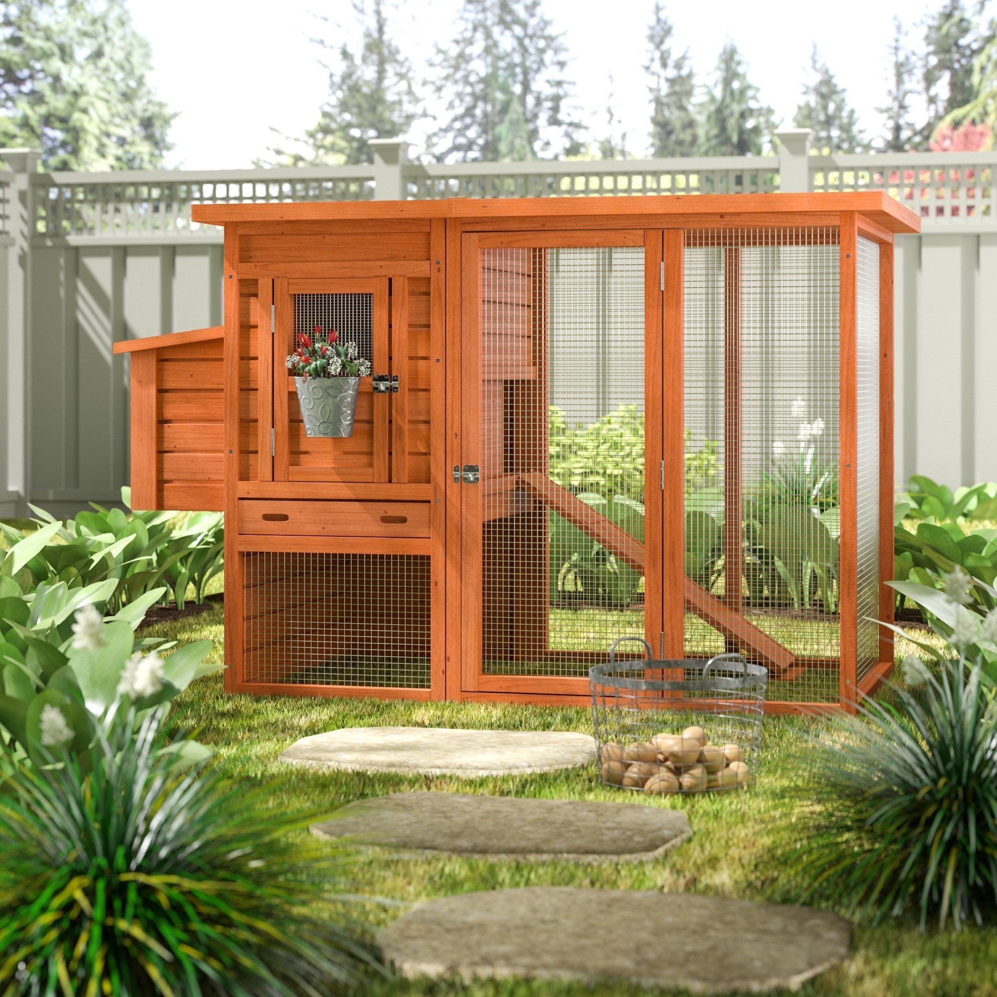 How to Choose a Chicken Coop
