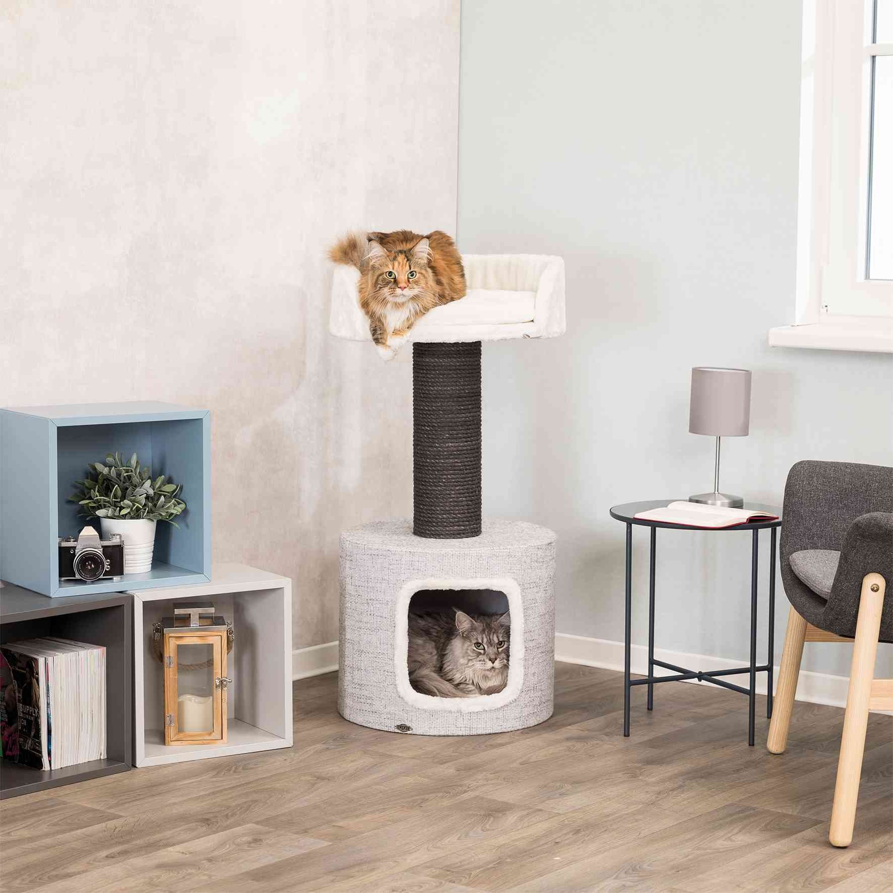 How to Choose Cat Trees & Condos
