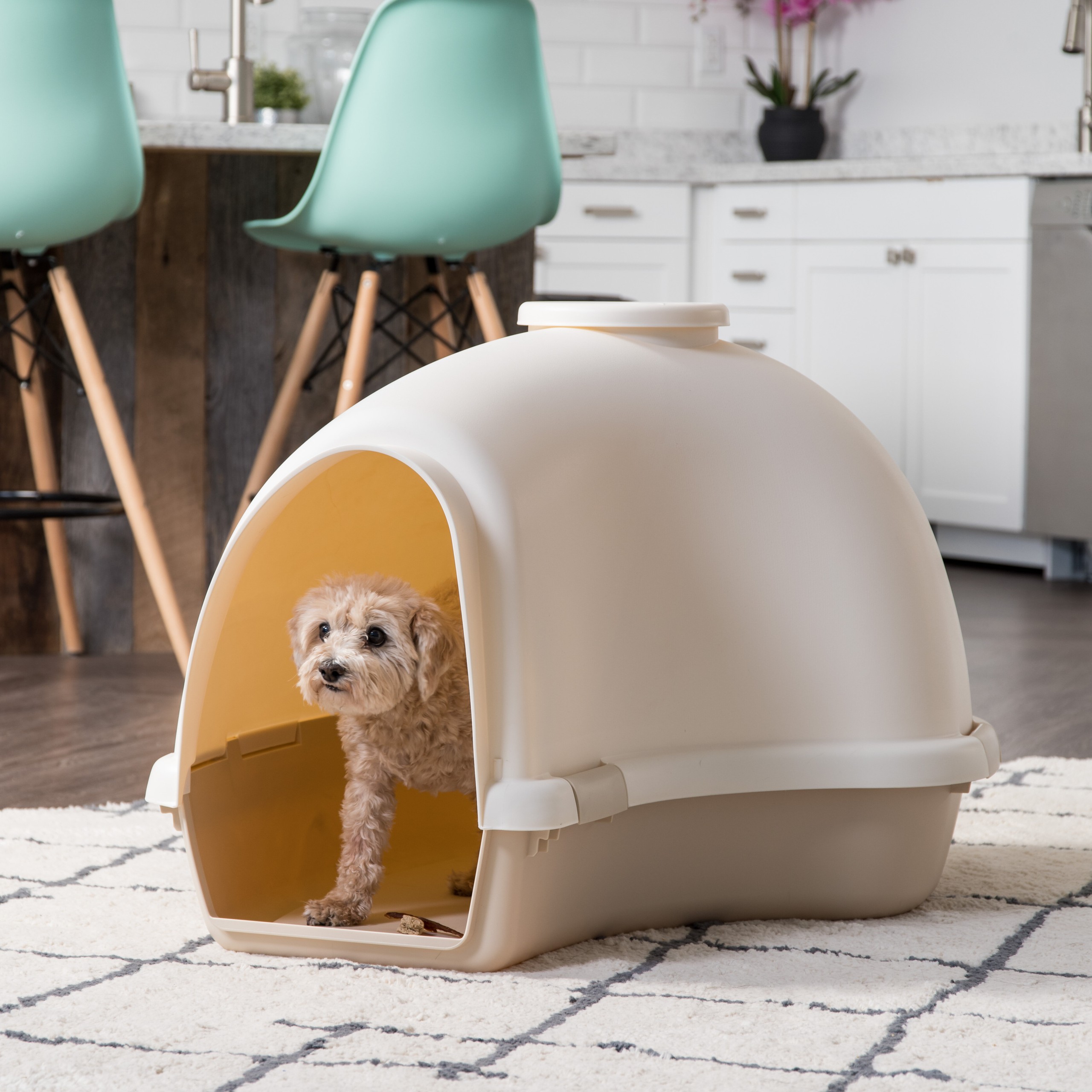 Dog House Furniture