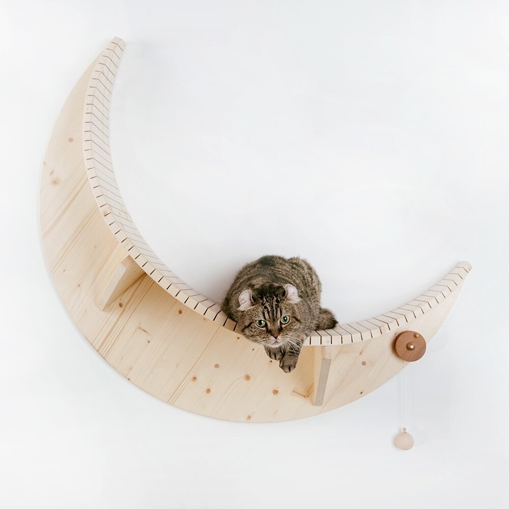 Maliyah Crescent Moon Shape Wall Mounted Furniture Function