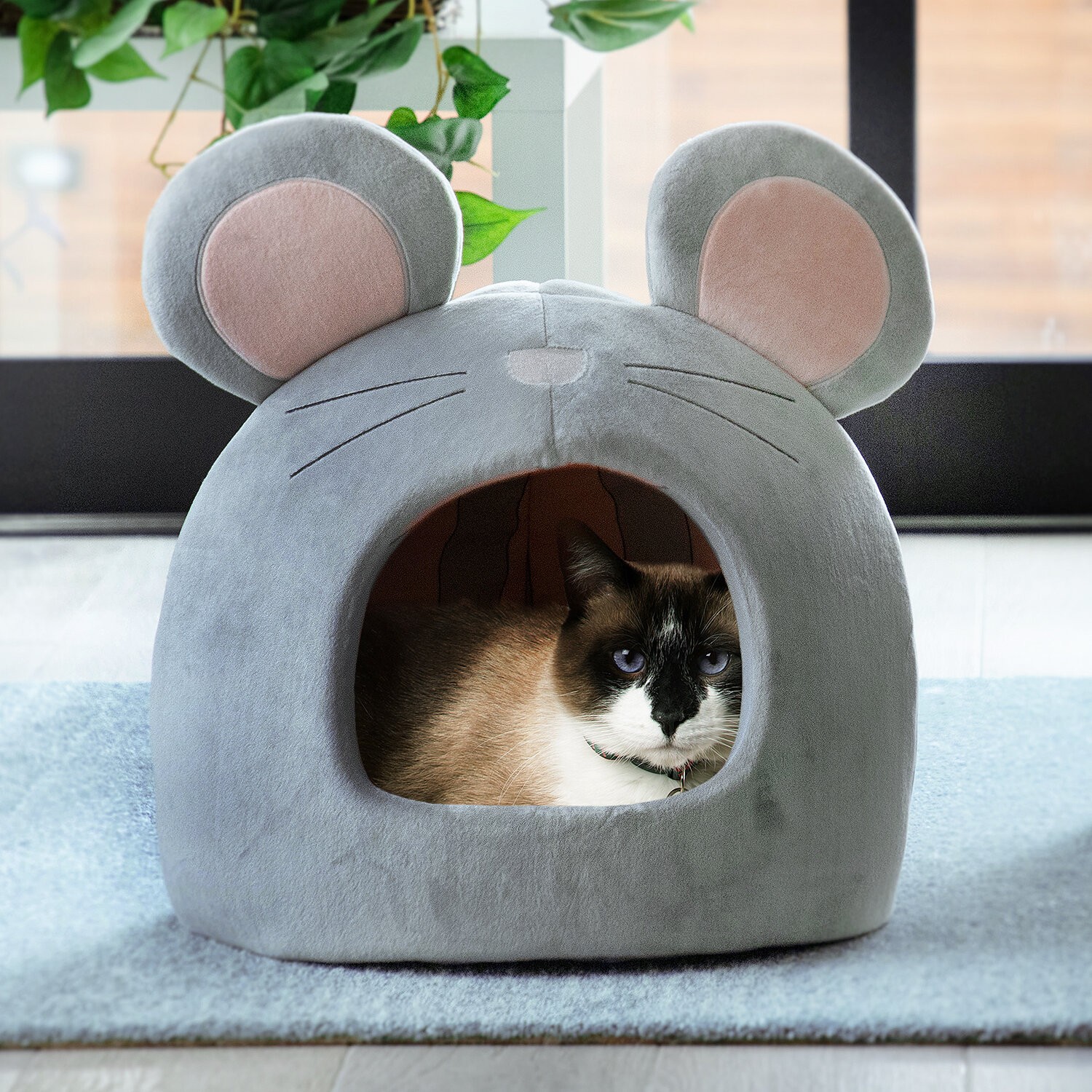Novelty Specialty Cat Bed