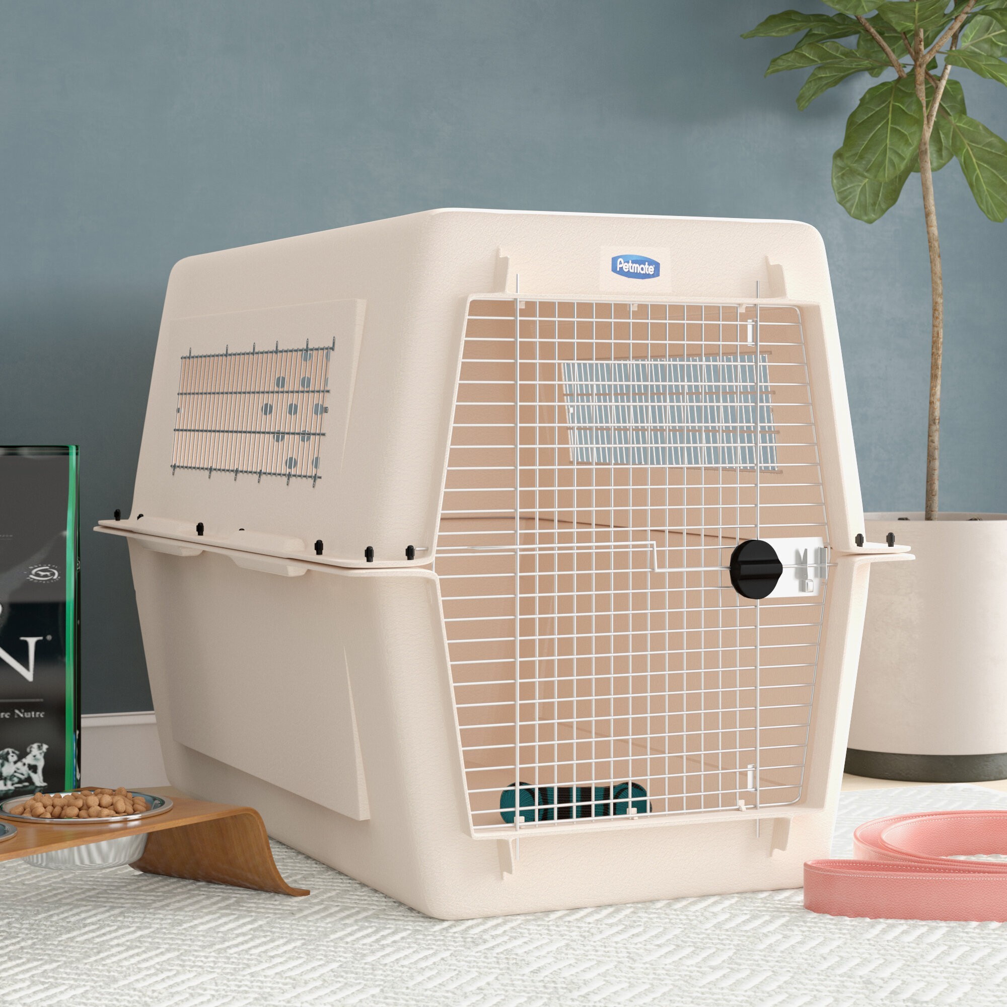How to Choose a Dog Crate