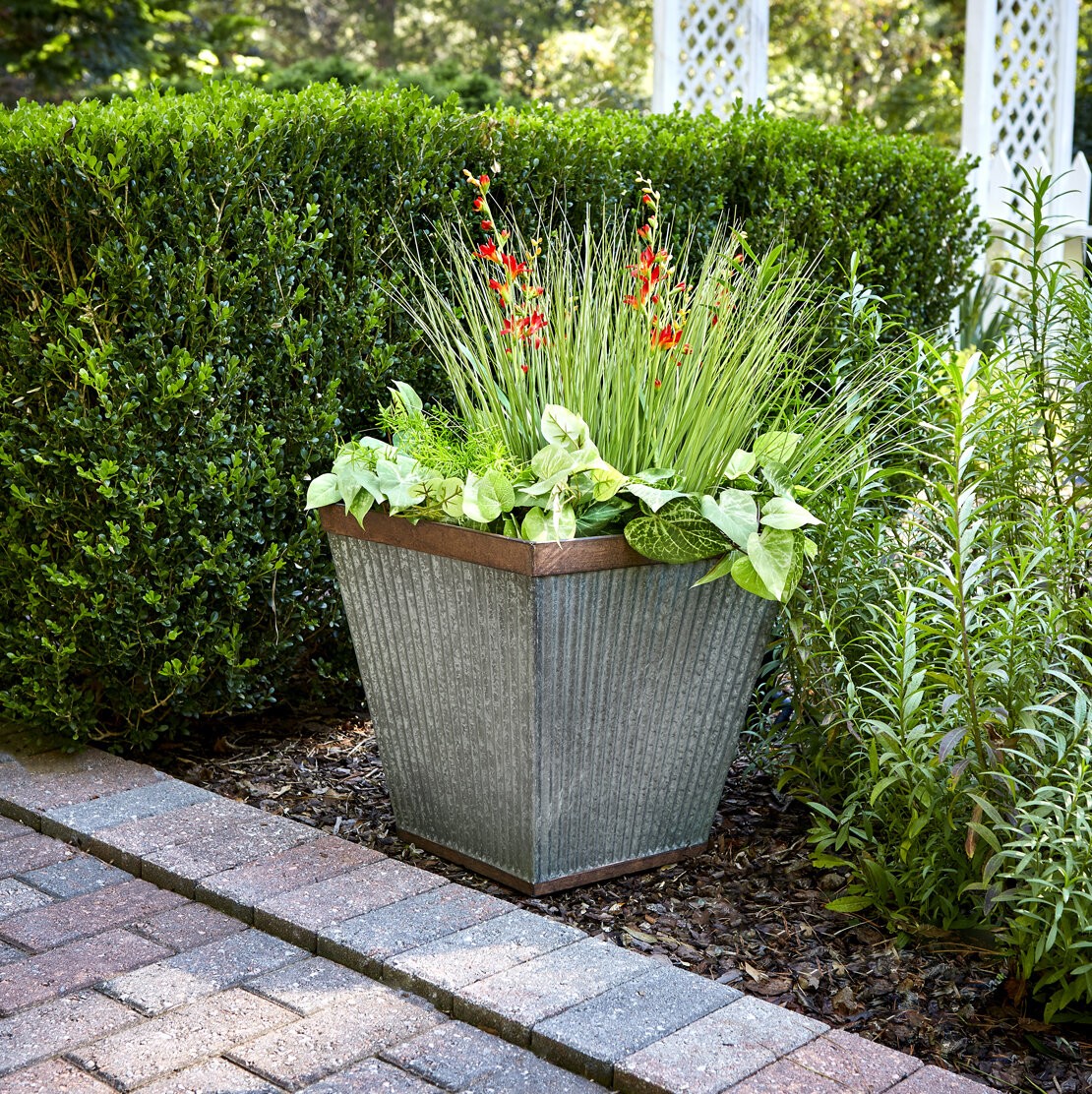 Westbury Resin Pot Planter