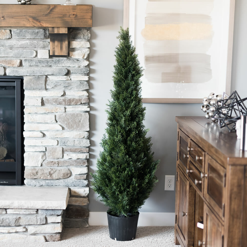 Yarbro Cedar Topiary in Planter