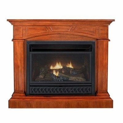 Zellmer Vent Free Freestanding 44"H x 44"W Natural Gas/Propane Fireplace