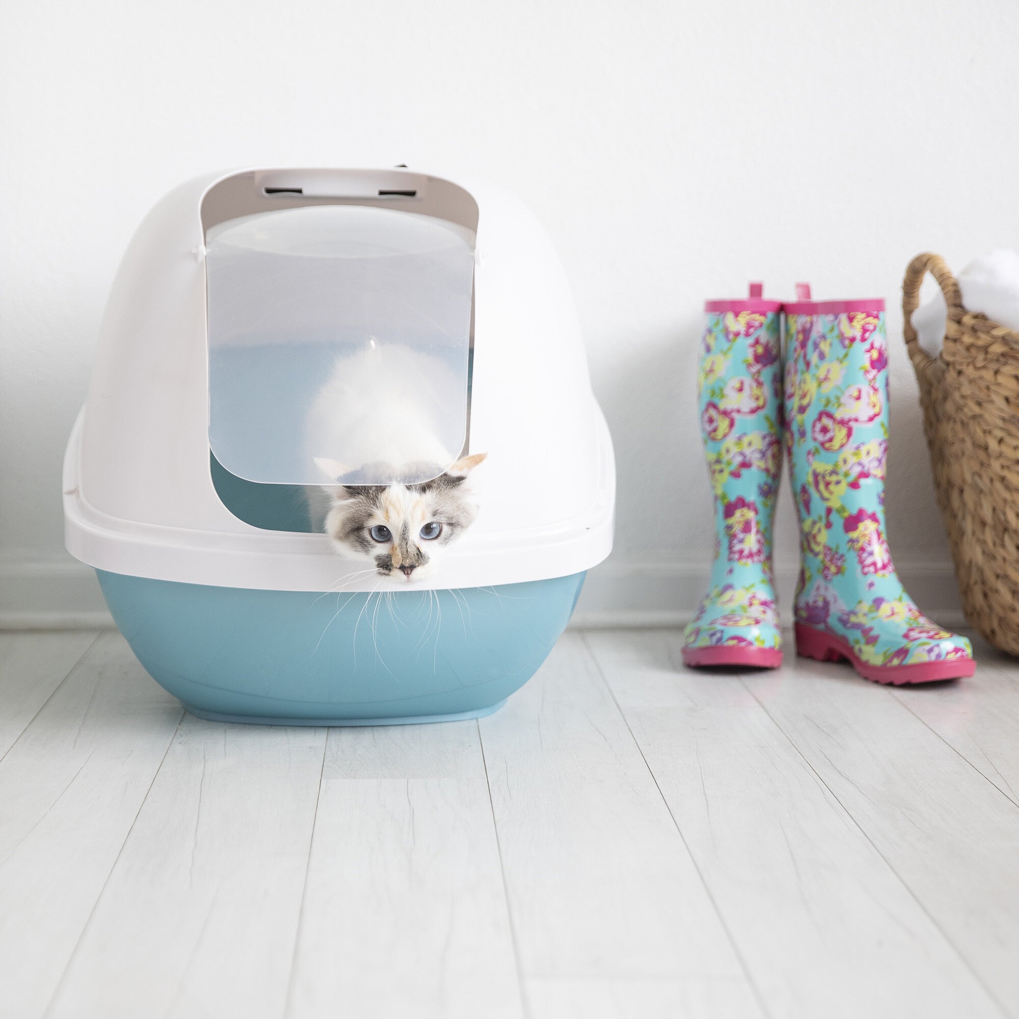 How to Choose a Litter Box