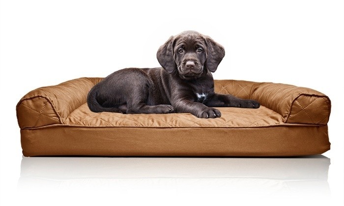 How to Choose a Sofa Dog Bed