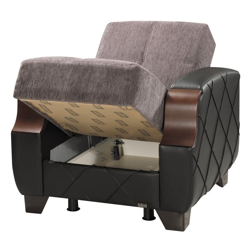 Camanche Convertible Chair