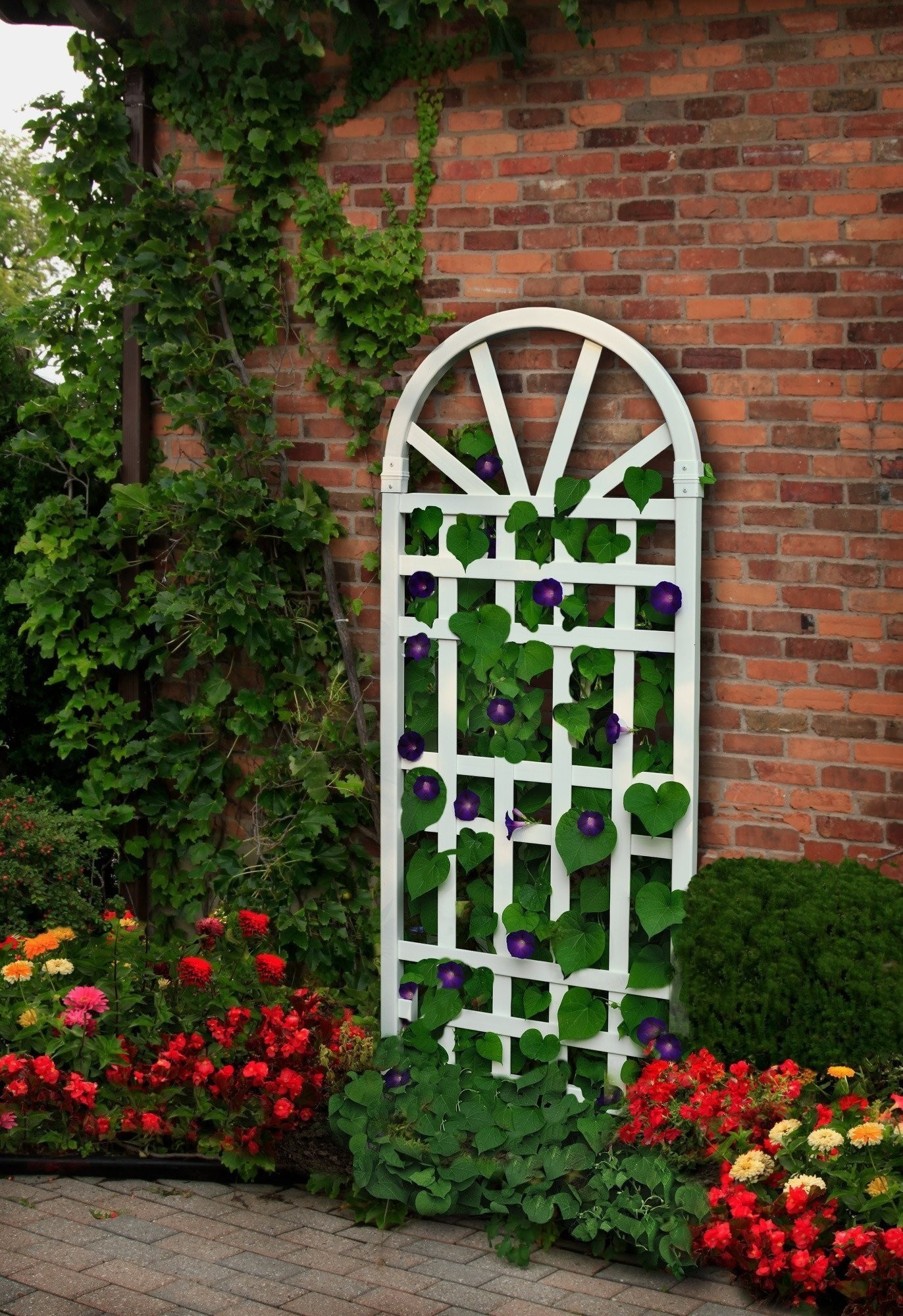 How to Choose a Trellis