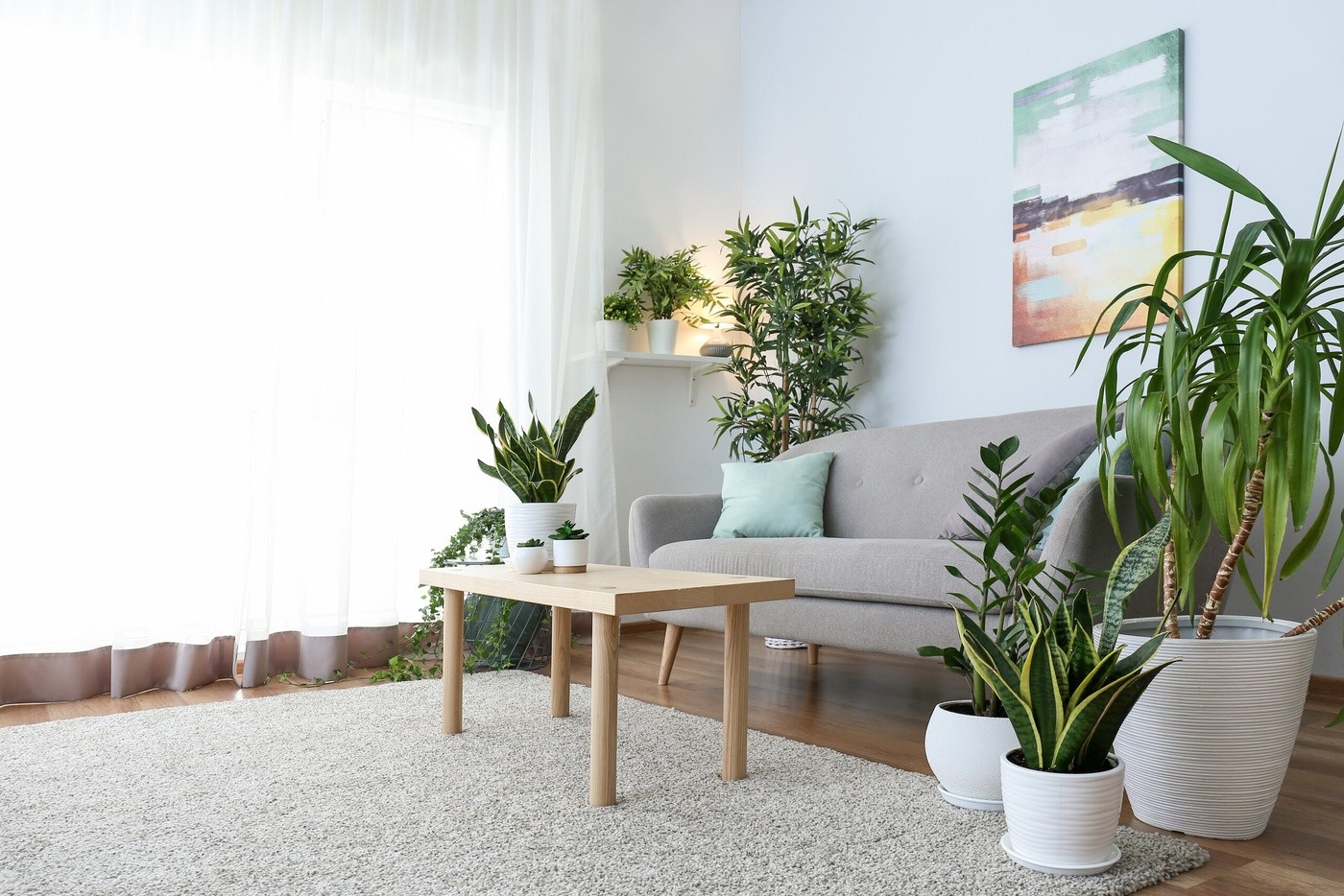 Living Room With Green Houseplants