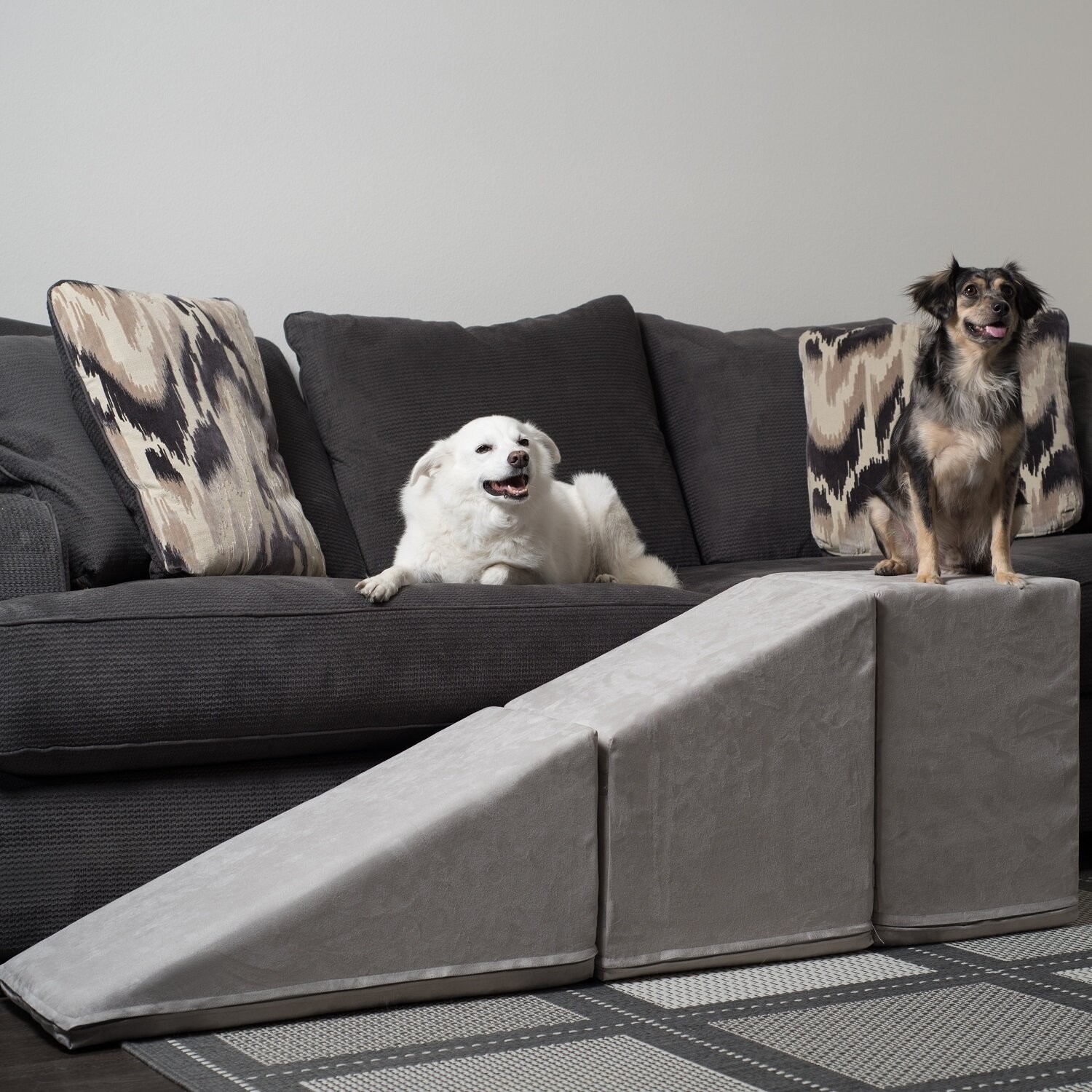 Pet Ramp with 21" Tall Landing