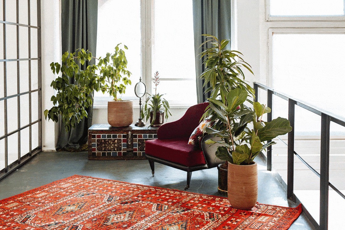 Red and Purple Furnitures Ideas