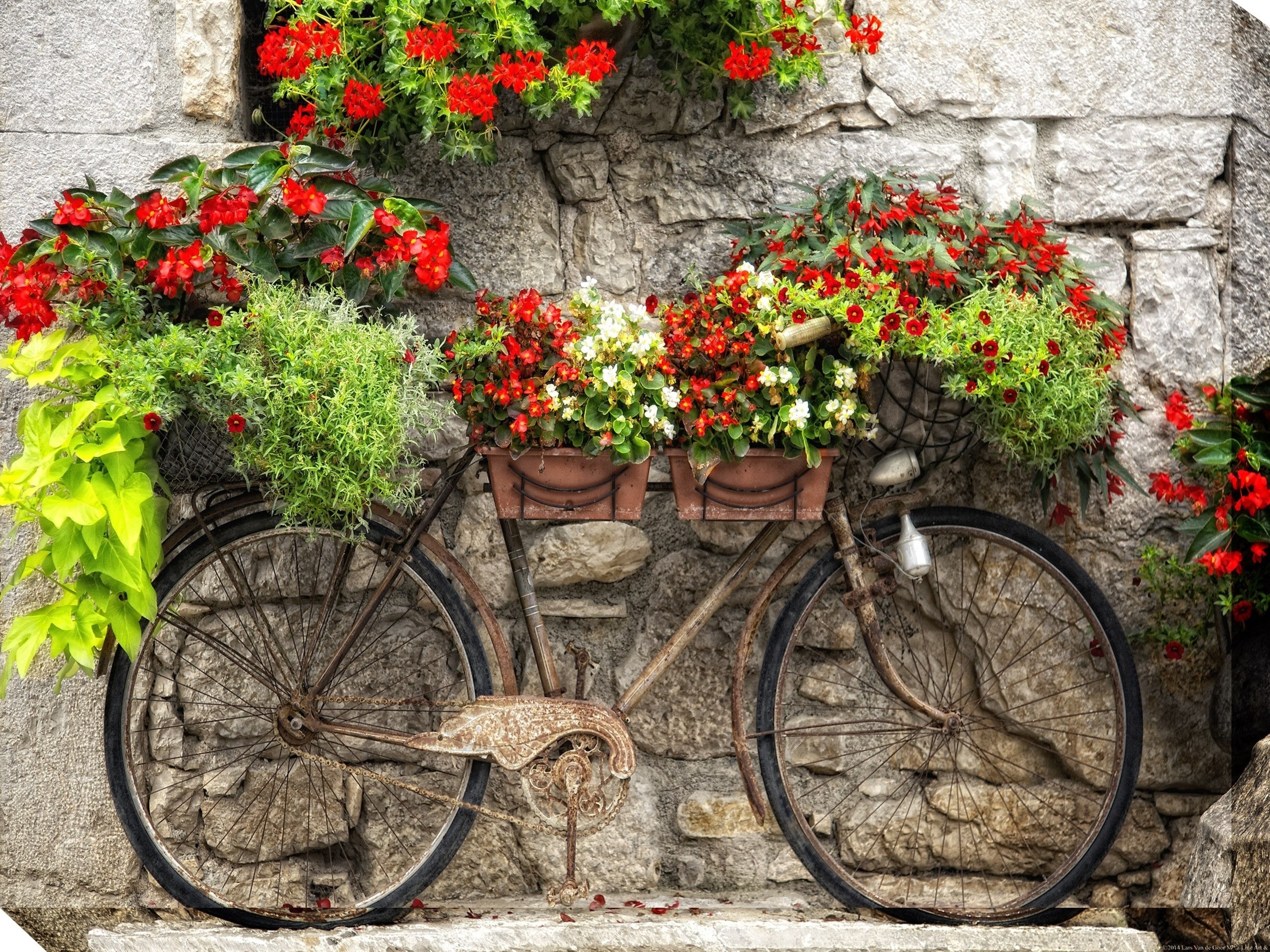 Rusty Bicyclette Outdoor Wall Decor