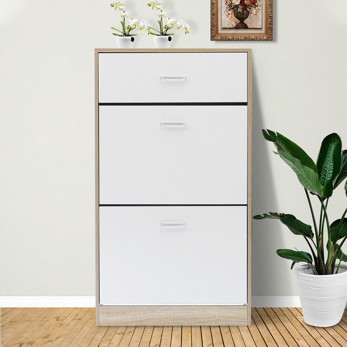 Scandinavian Style Shoe Storage Cabinet