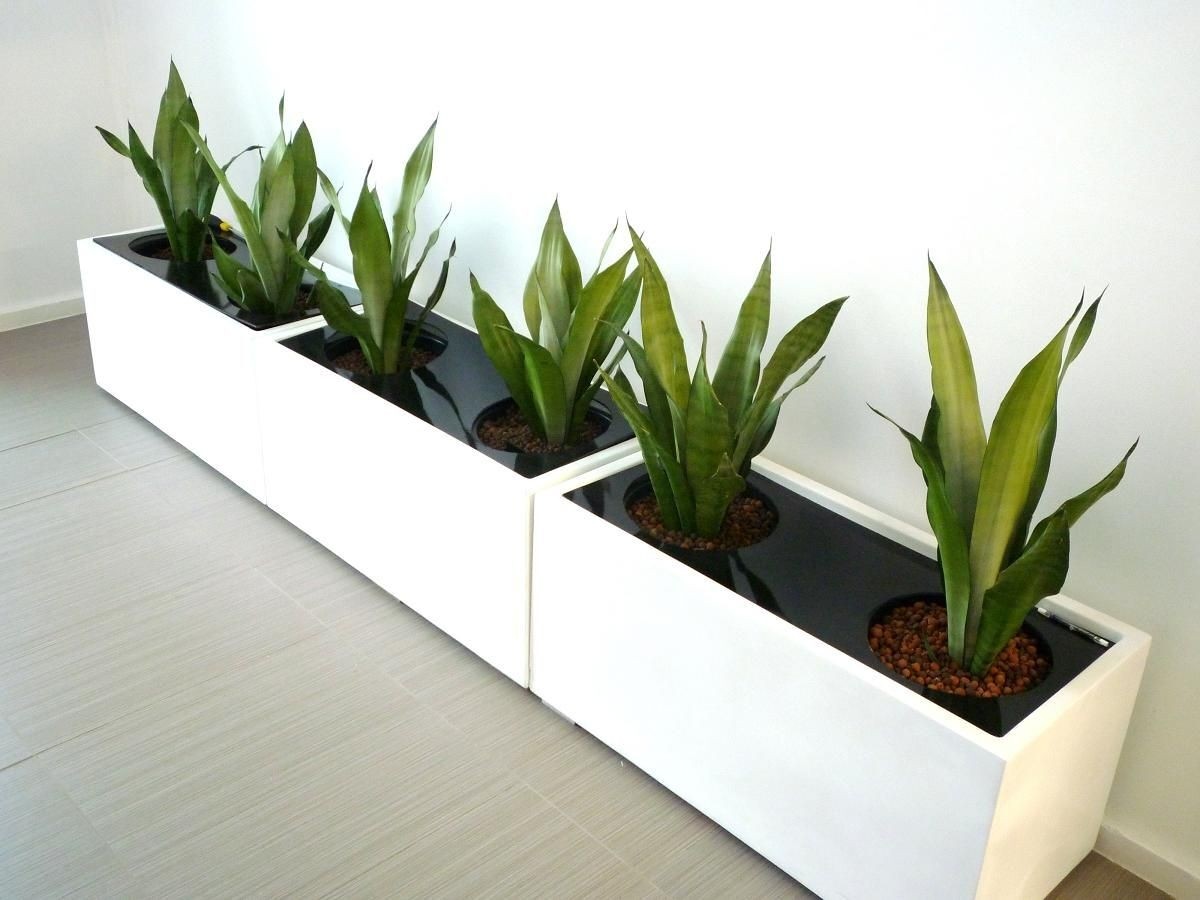 Wood Planter Pot Set for Small Plants
