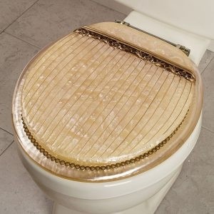The most fun toilet seats on the planet the toilet