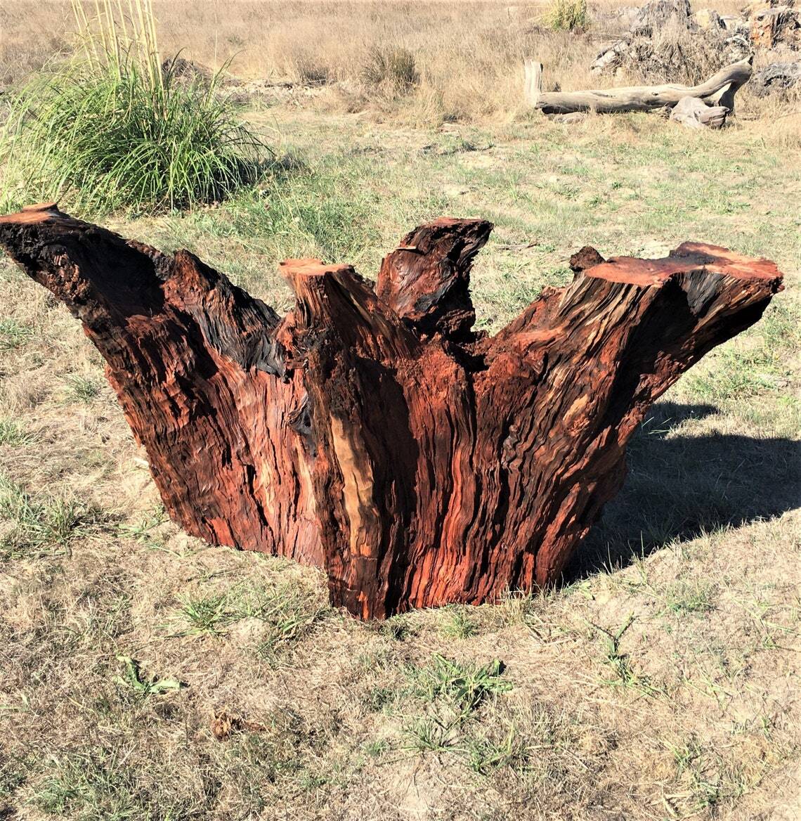 A live edge, rustic, wooden base for glass dining table