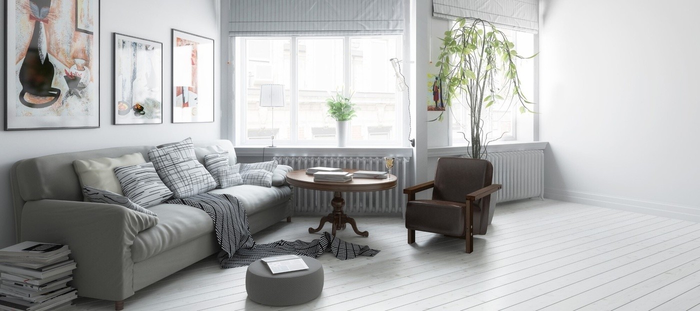 Gray Sofa