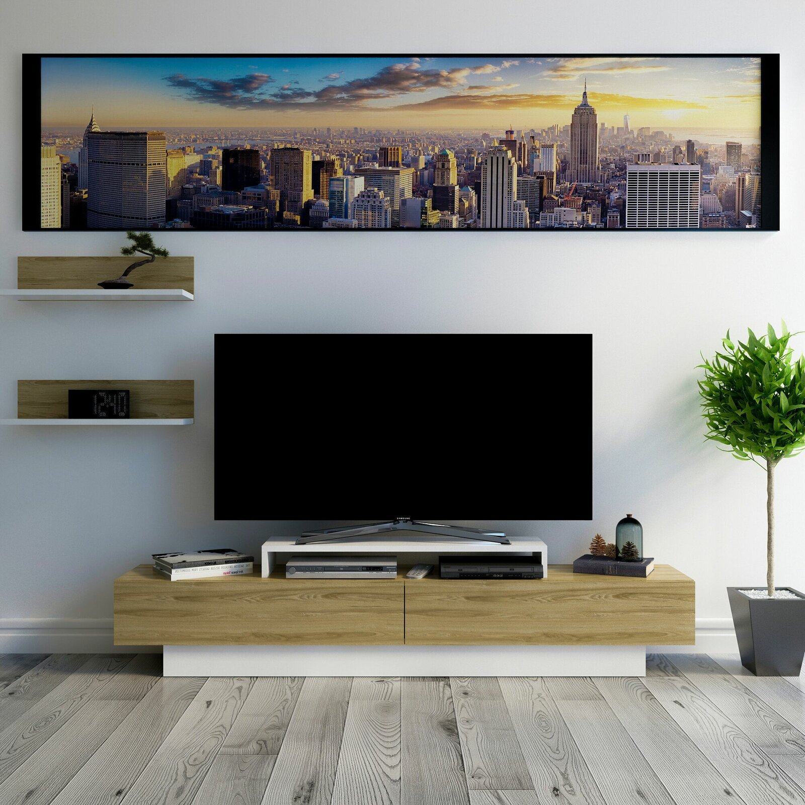 Modern Long Low TV Unit