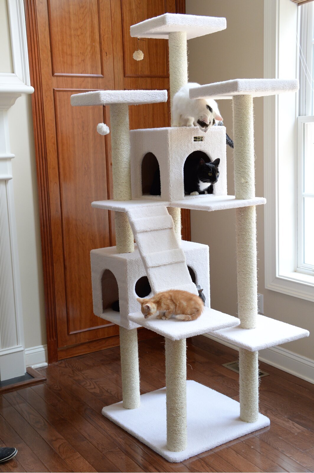 Monochrome giant cat tree