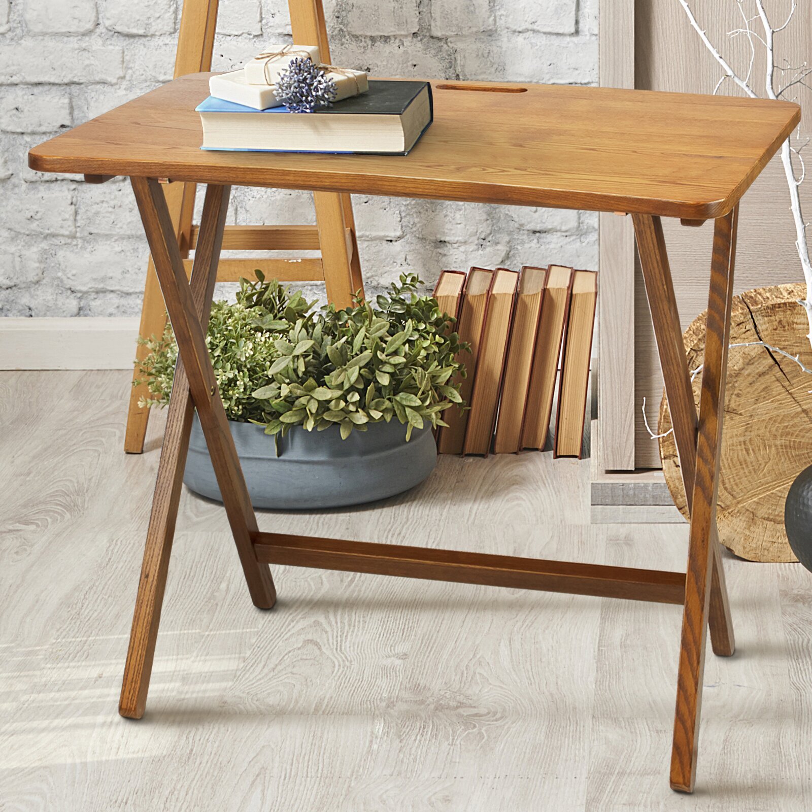 Modern TV Trays