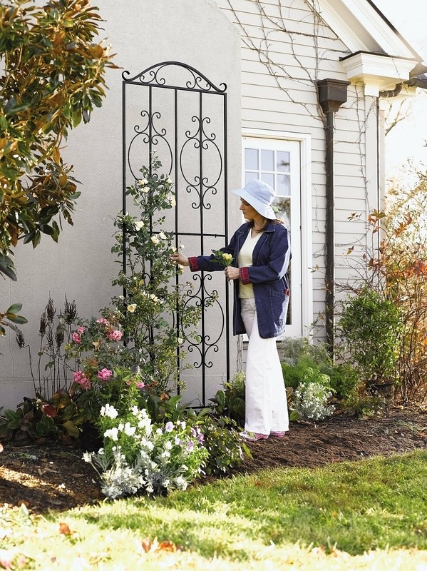 Ornate wisteria trellis for sale