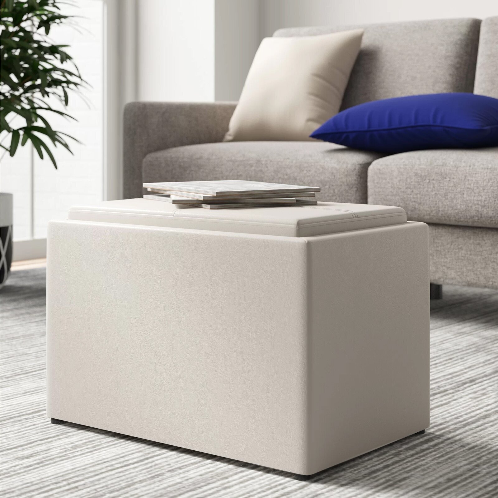 Ottoman Storage Apartment Size Coffee Table