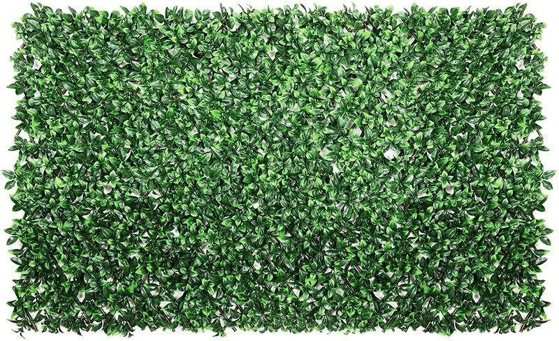 Retractable Ivy Screen