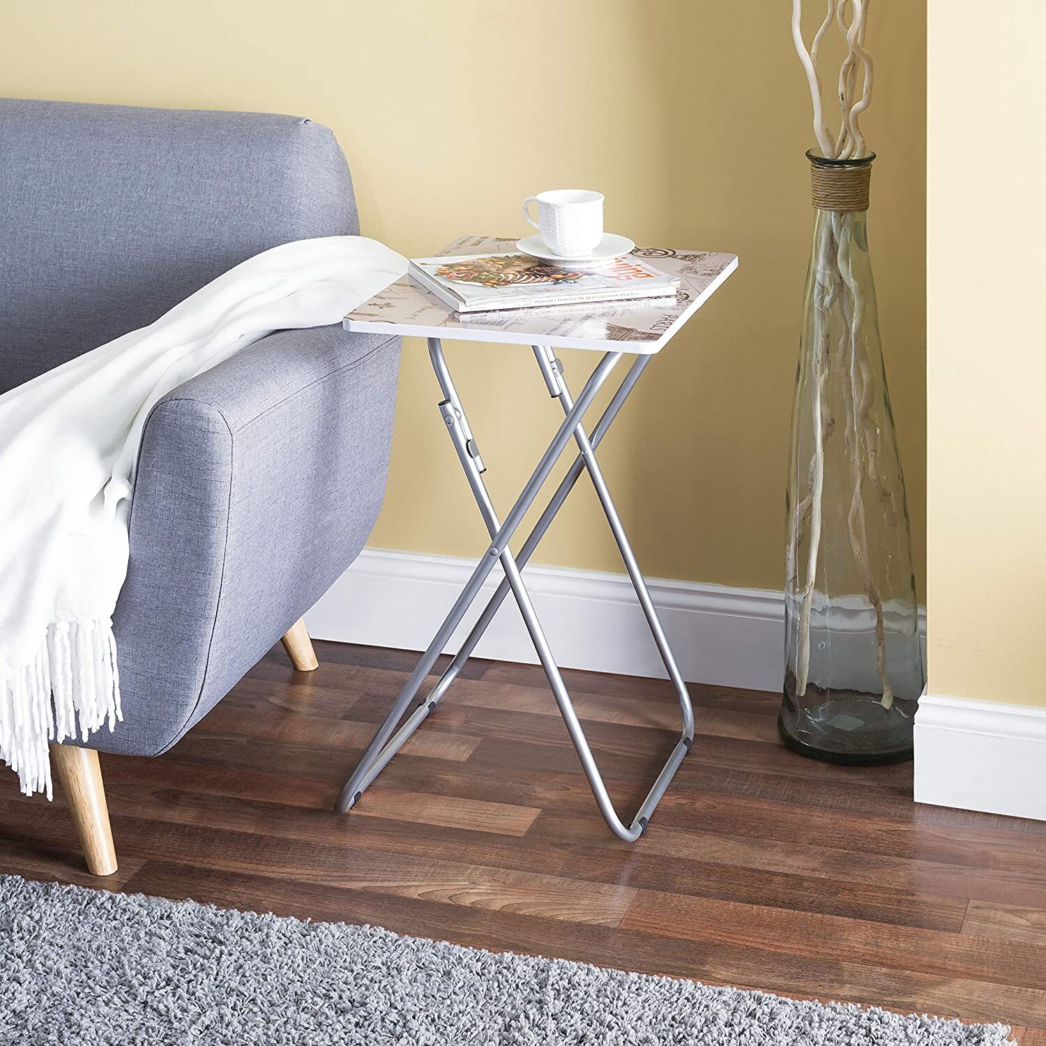 Retro Style Metal TV Tray