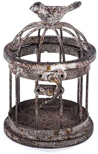 Rusty Small Iron Bird Cage with Bird on Top