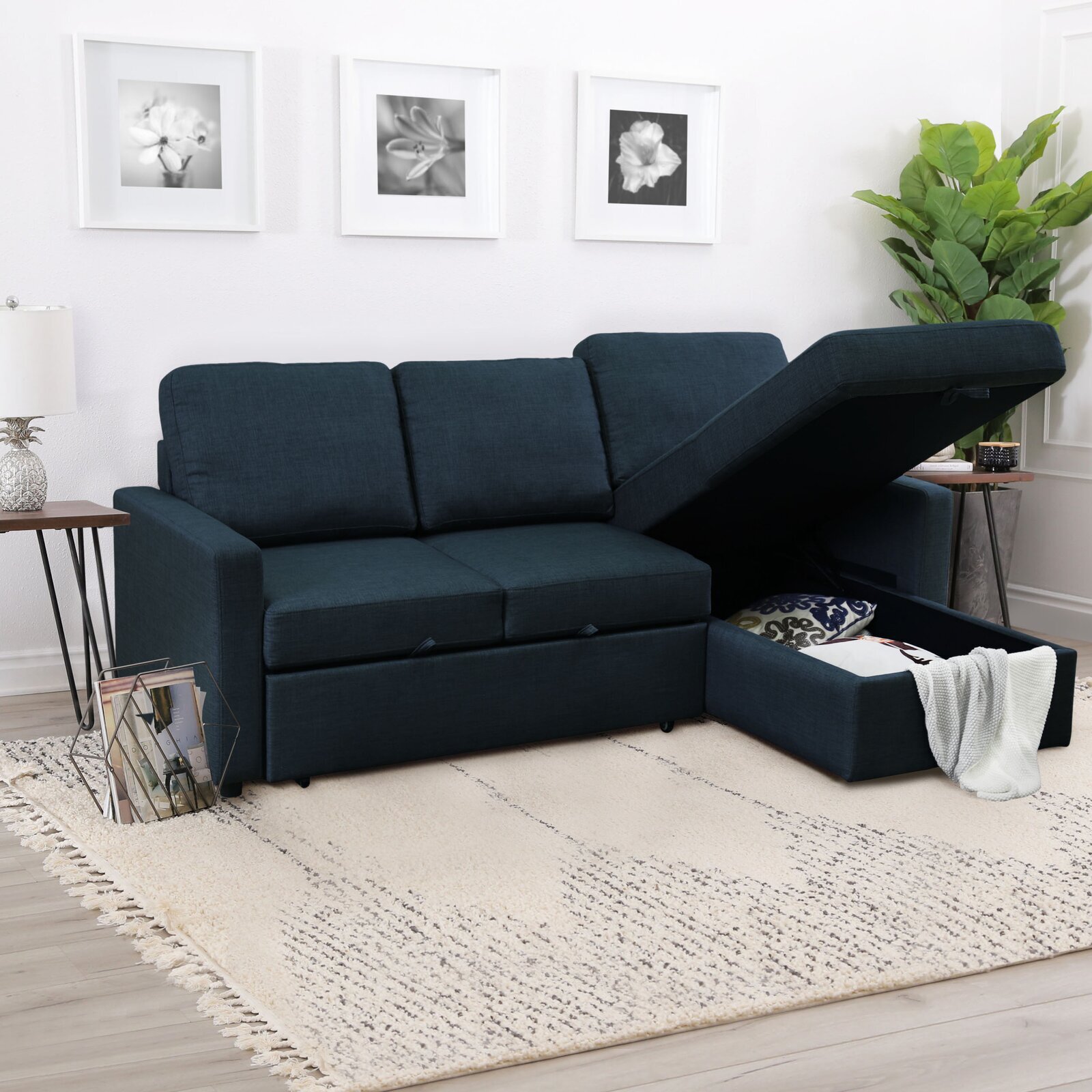 Tiny House Sleeper Sofa