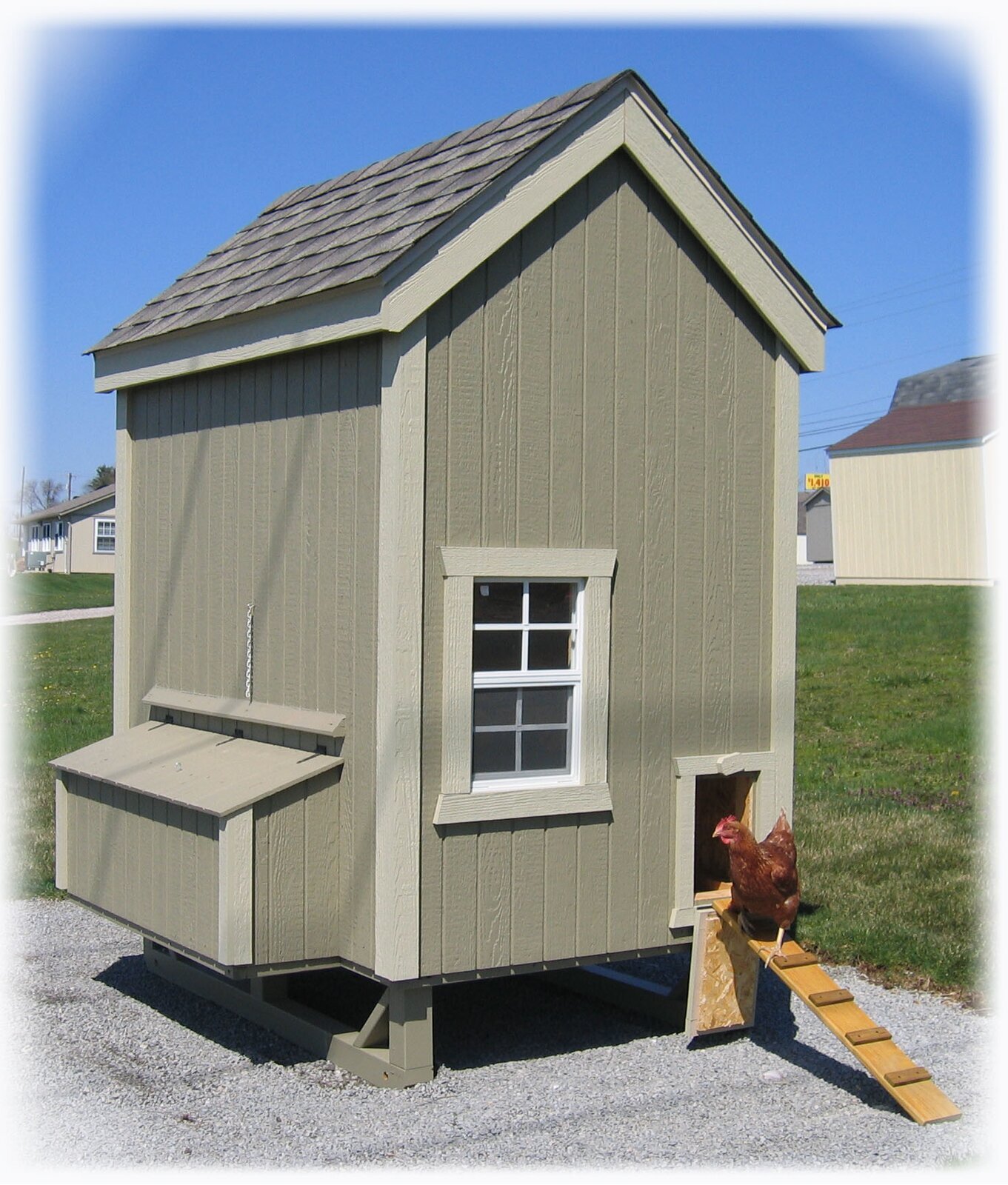 Walk In Chicken Coop for 8 Chickens