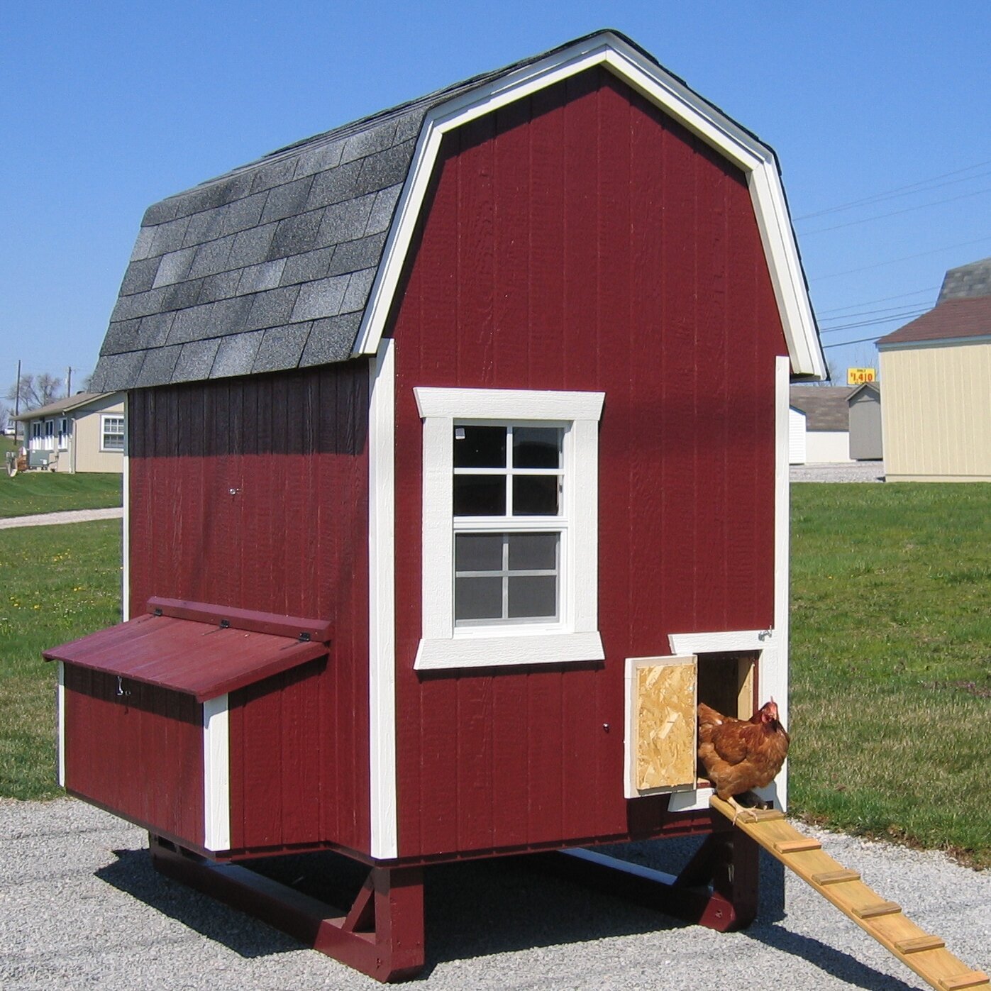 Walk in Chicken Coop Shed