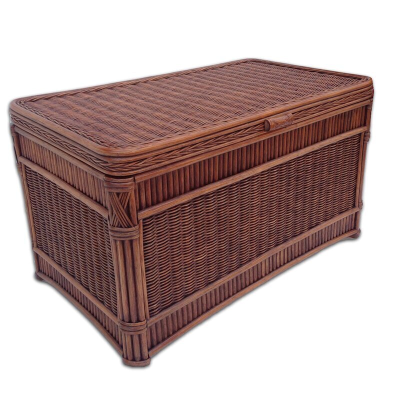 Brown Tropical Trunk