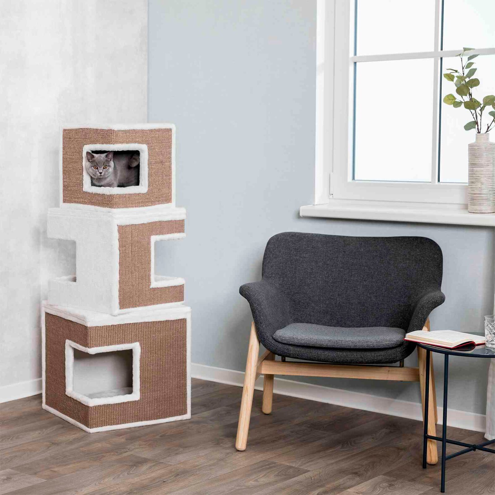 Cat Condo with Three box Arrangement