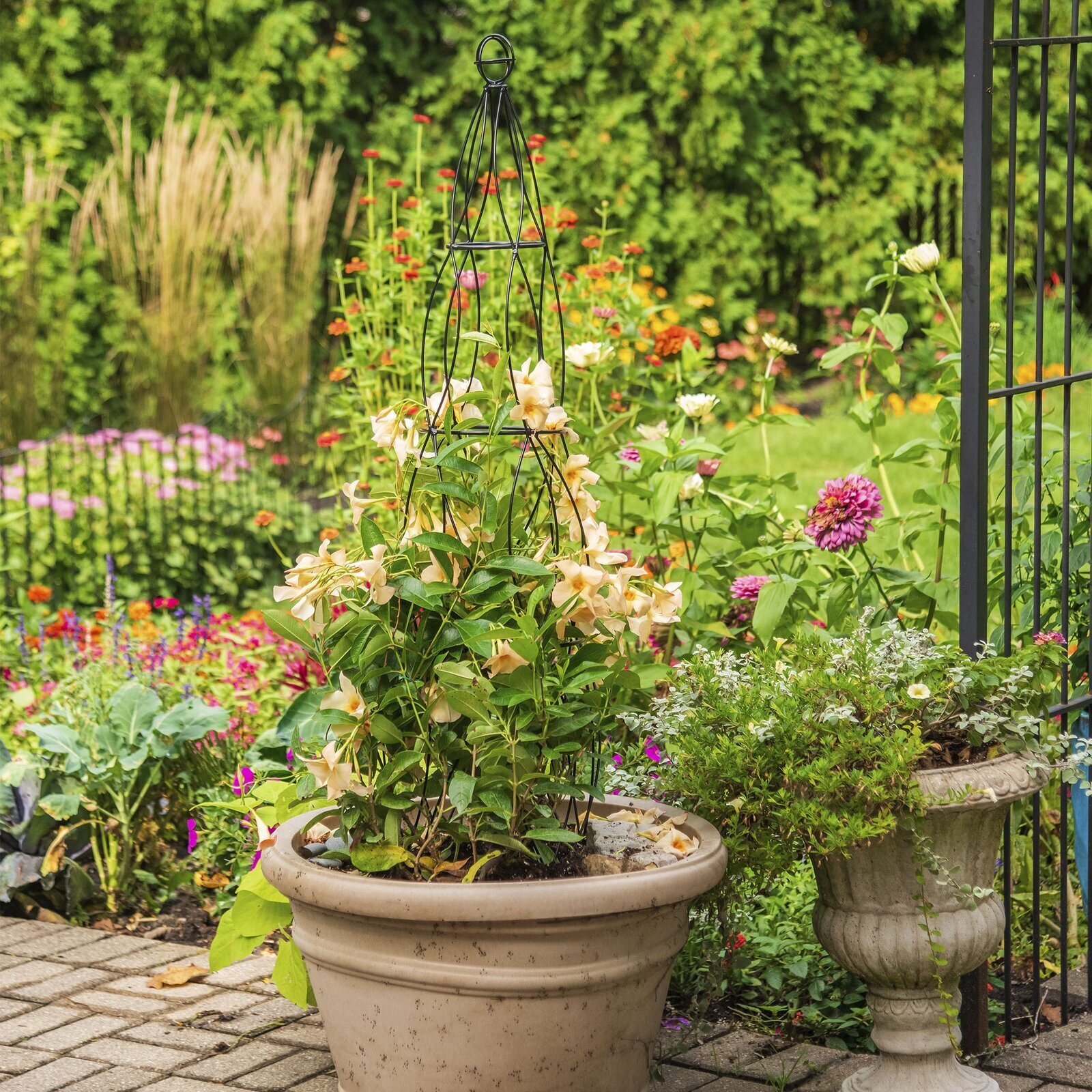 Curvy Iron Obelisk Trellis