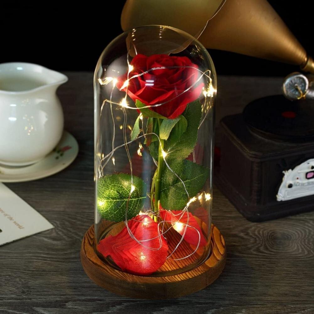 Fairytale style red rose lamp