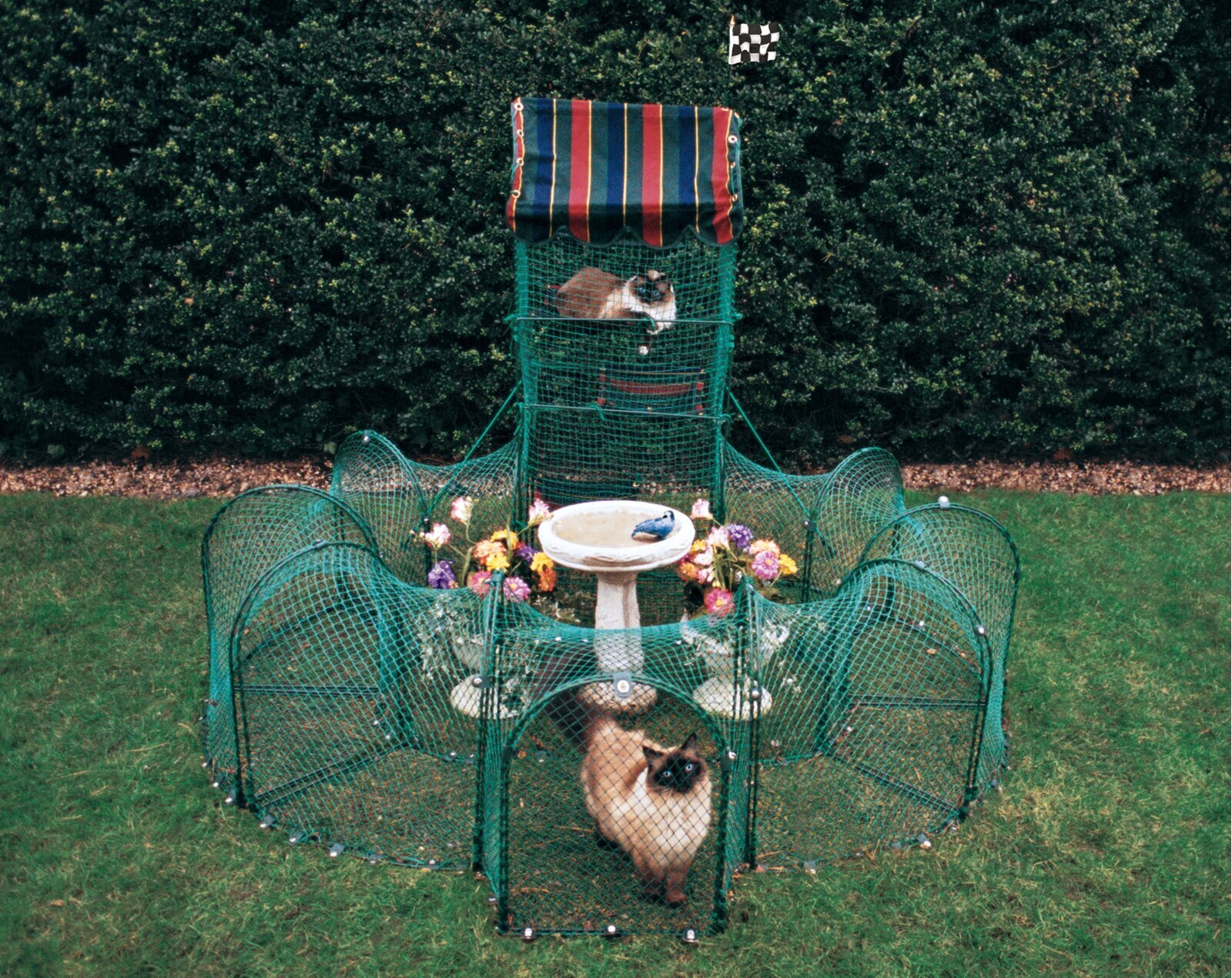 Large Cat Playpen With Tower