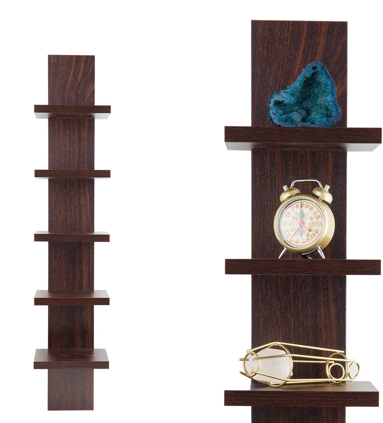 Modern spine wall shelf