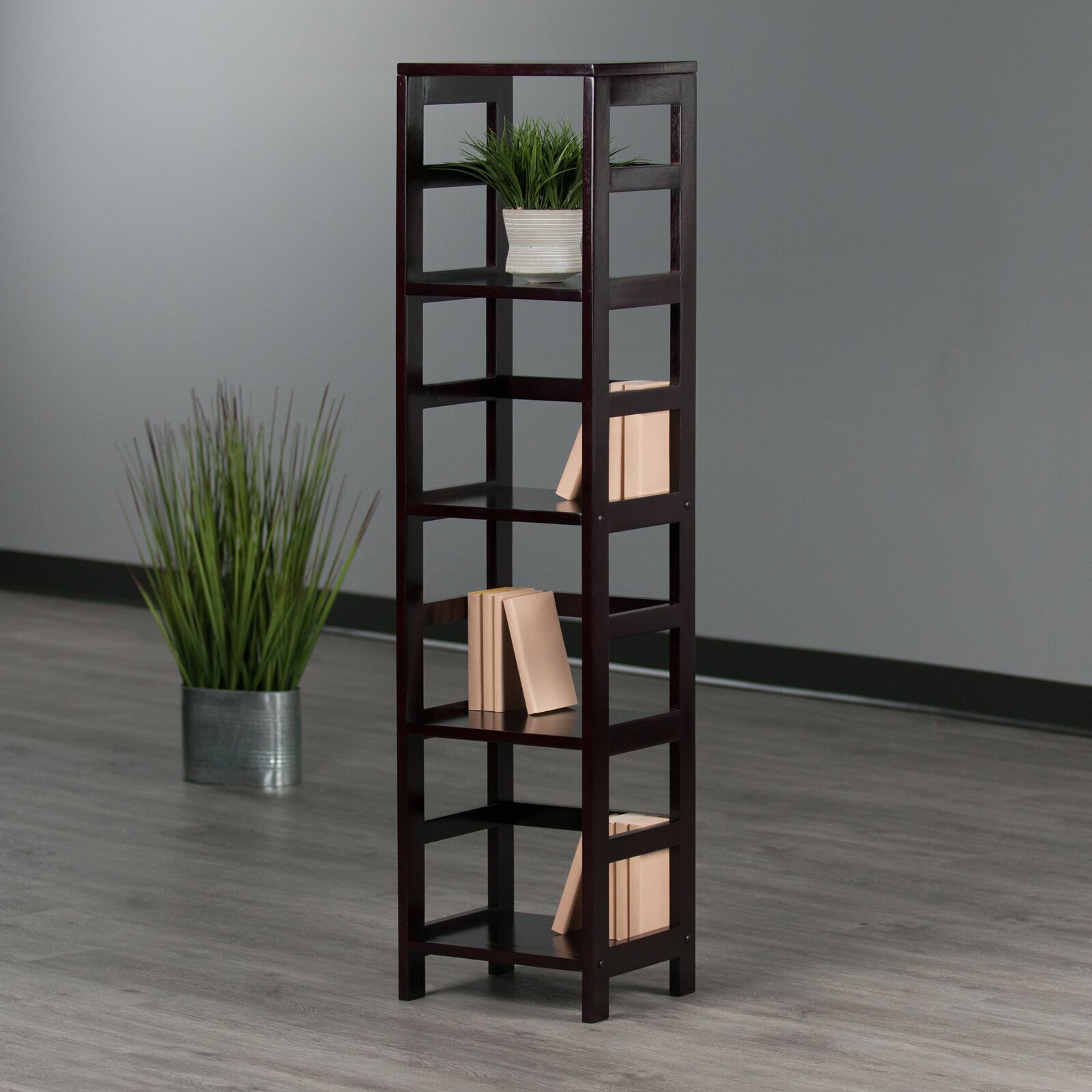 Narrow Living Room Shelves and Cabinet