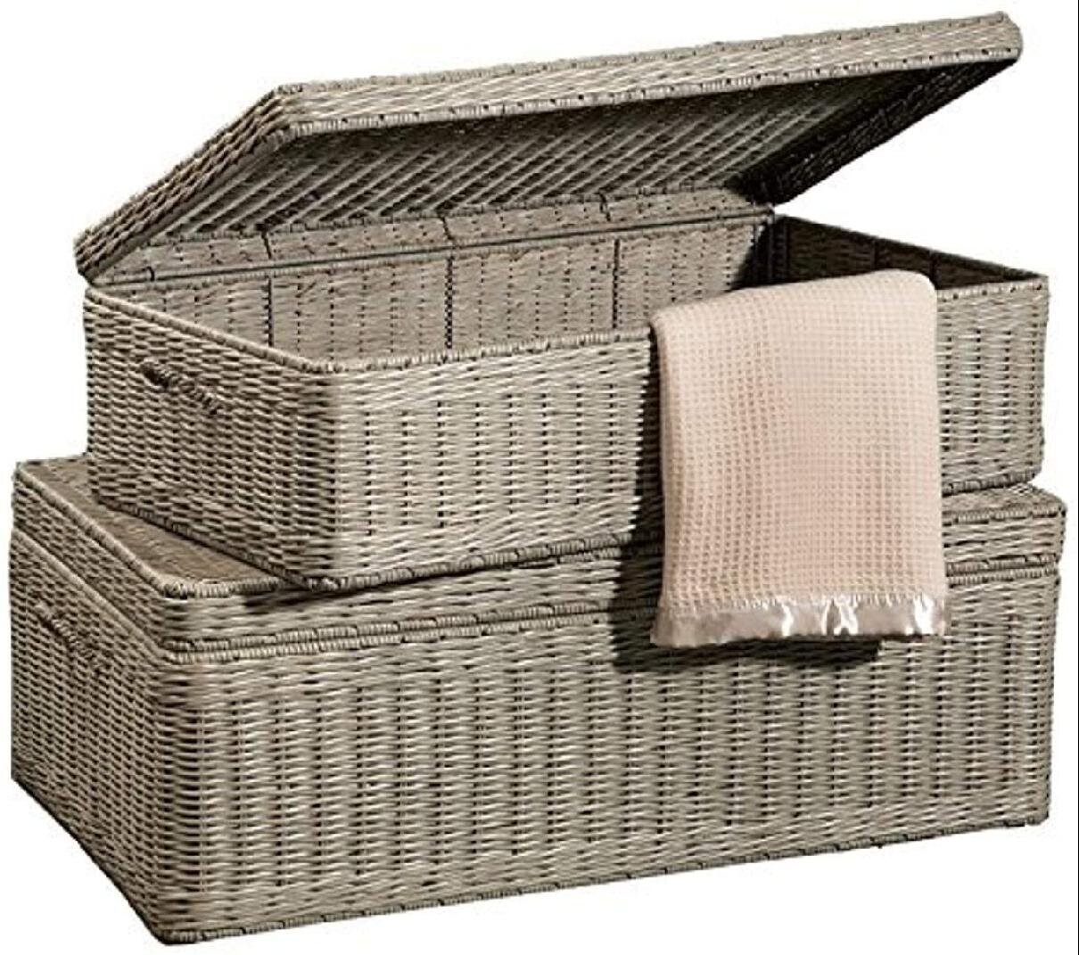 Rustic Rattan Trunk