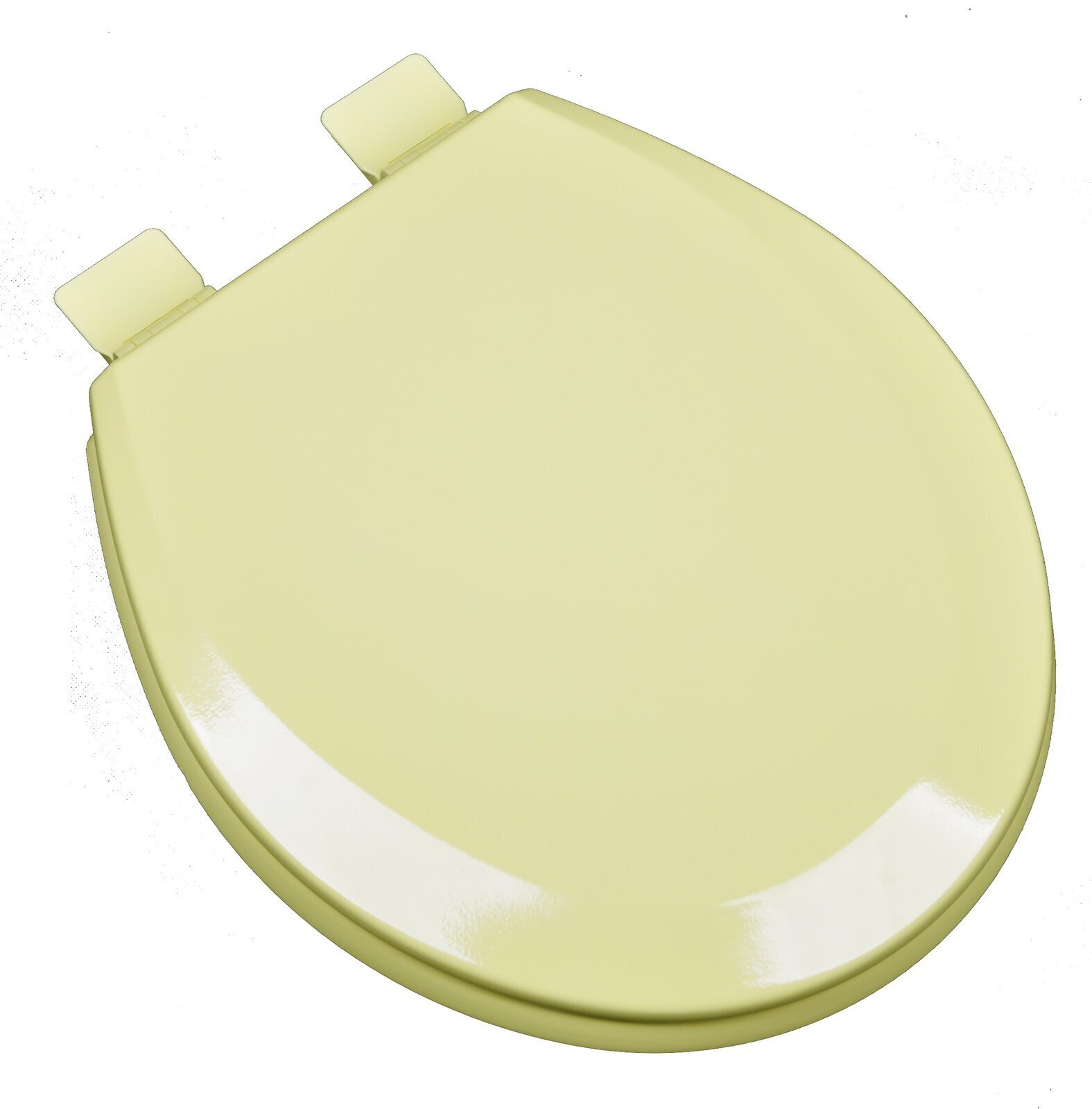 Shiny Designer Toilet Seat