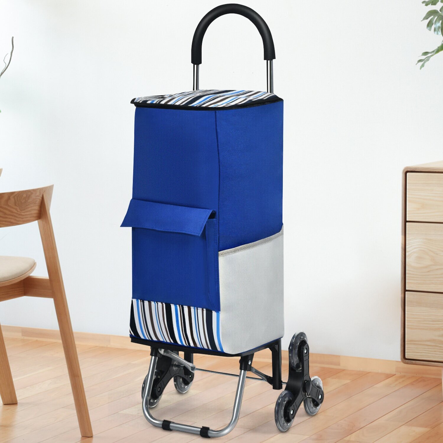 Shopping Cart with Bag