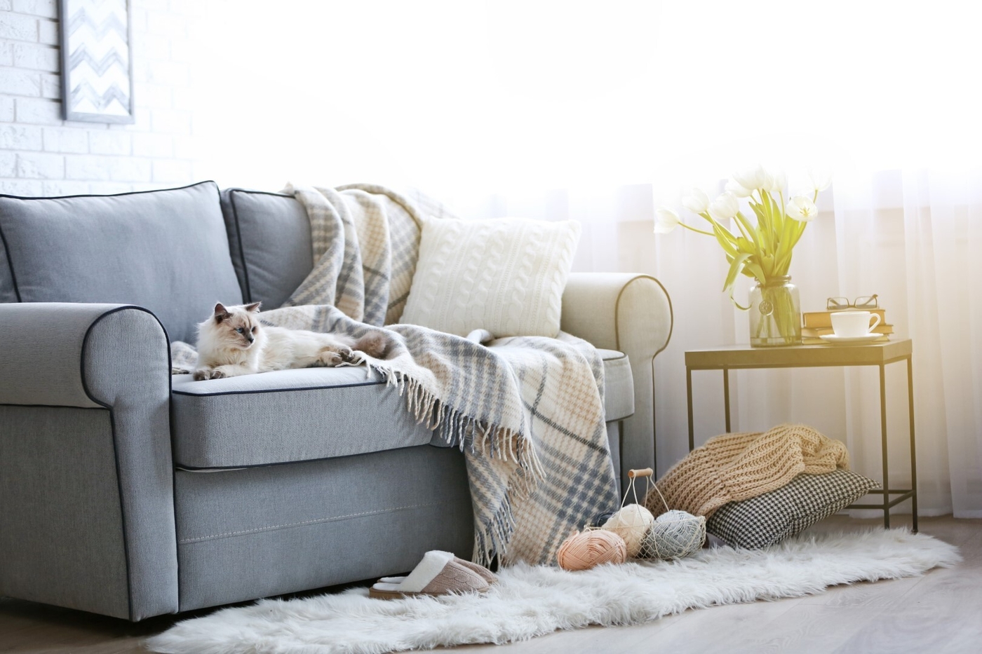 Sofa in living room