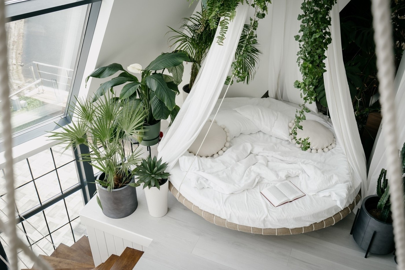 Tropical plants